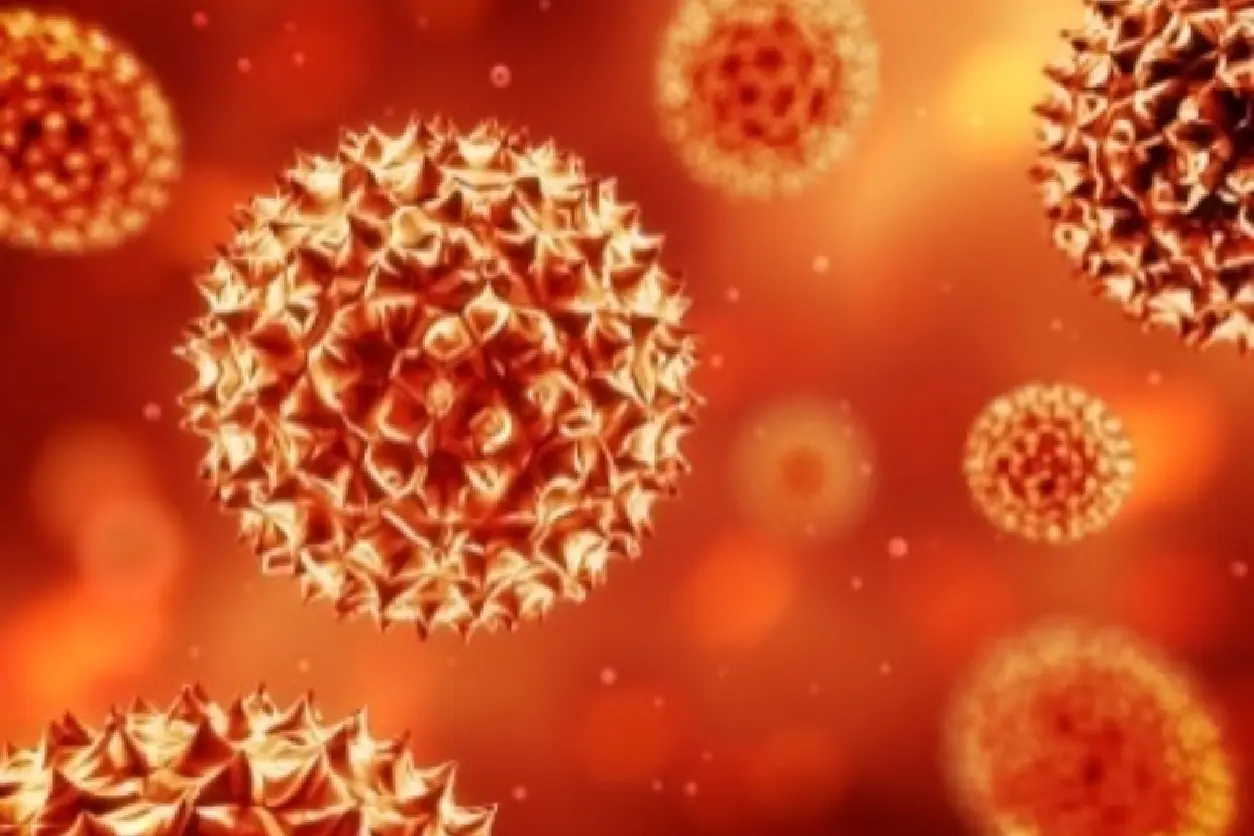 Close-up illustration of virus particles with an orange background.