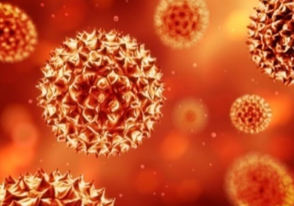 Close-up illustration of virus particles with an orange background.